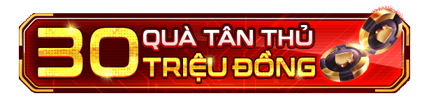 Mô tả ảnh